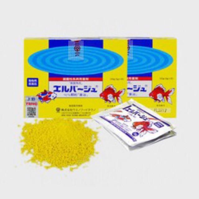 TETRA NHẬT - THUỐC TRỊ NẤM CHO CÁ CẢNH, DƯỠNG CÁ KHOẺ