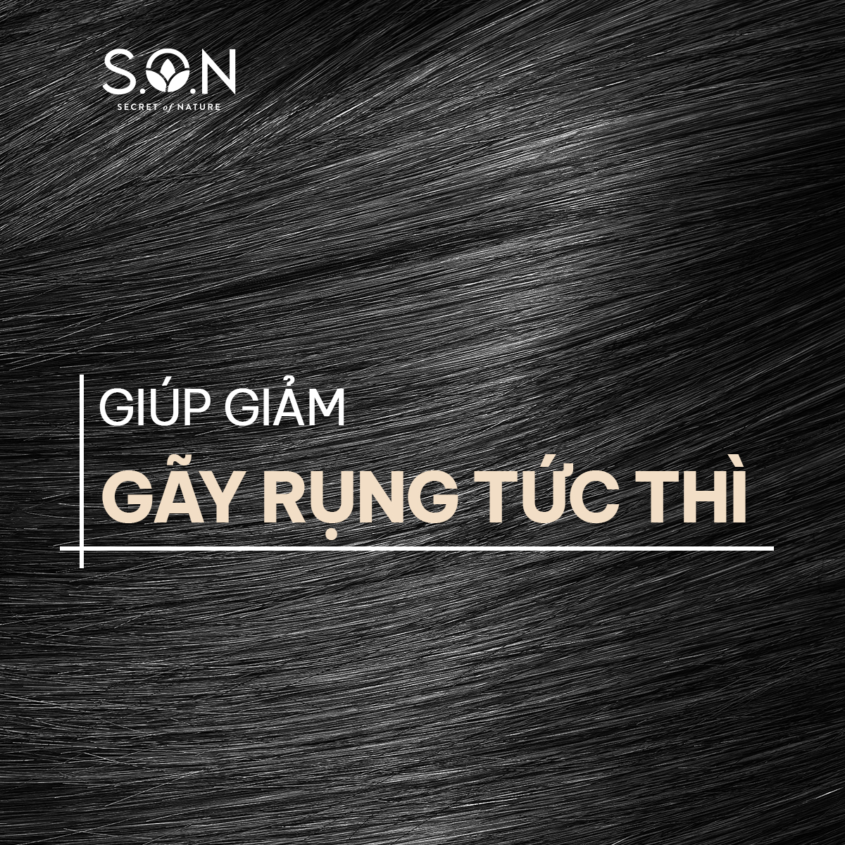 Dầu xả ngải cứu & nha đam S.O.N dưỡng tóc suông mượt, giảm gãy rụng