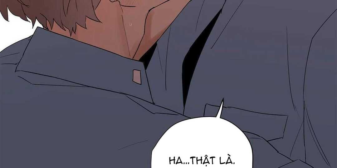 guide cấp b chapter 41 128