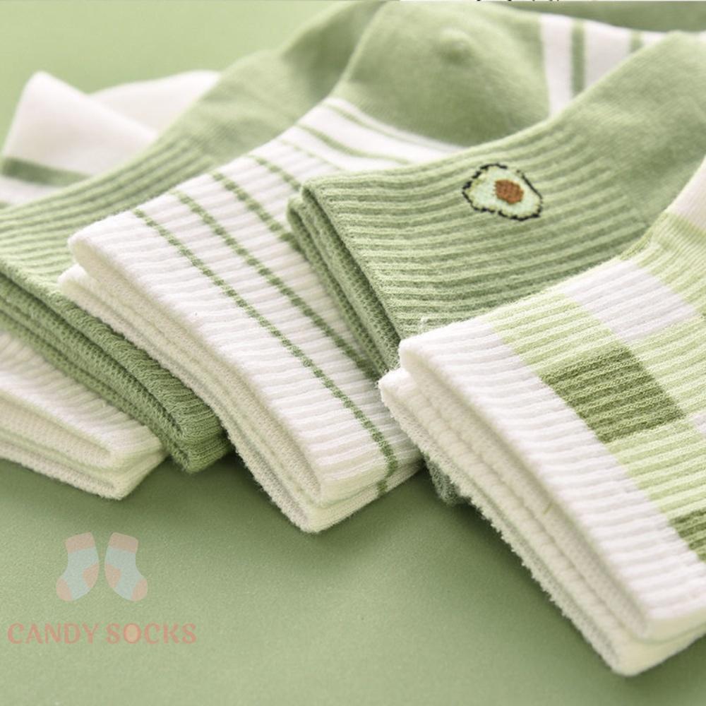 Tất nữ vớ nữ cổ trung, Set 5 đôi tất nữ phong cách Hàn Quốc, co dãn 4 chiều, chất liệu cotton Hàn cao cấp TN-206