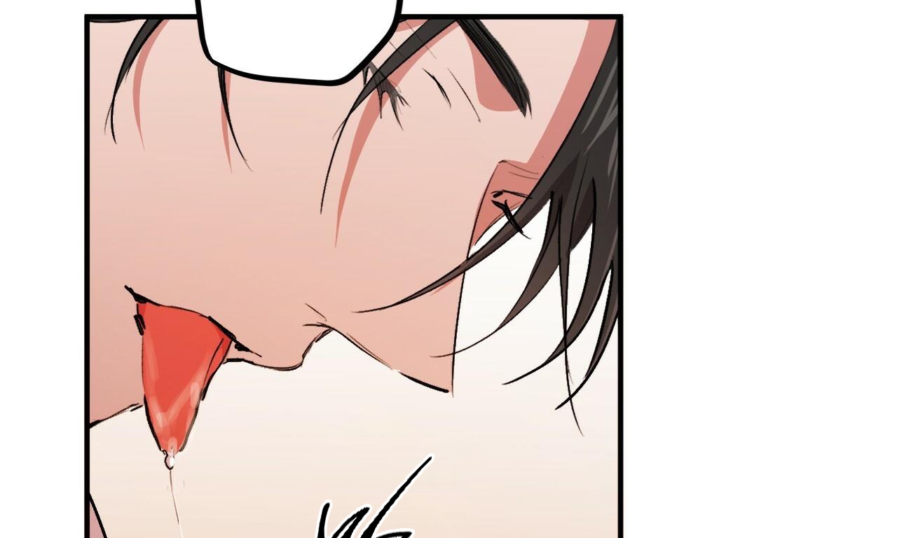 đàn thỏ của habibi chapter 33 92