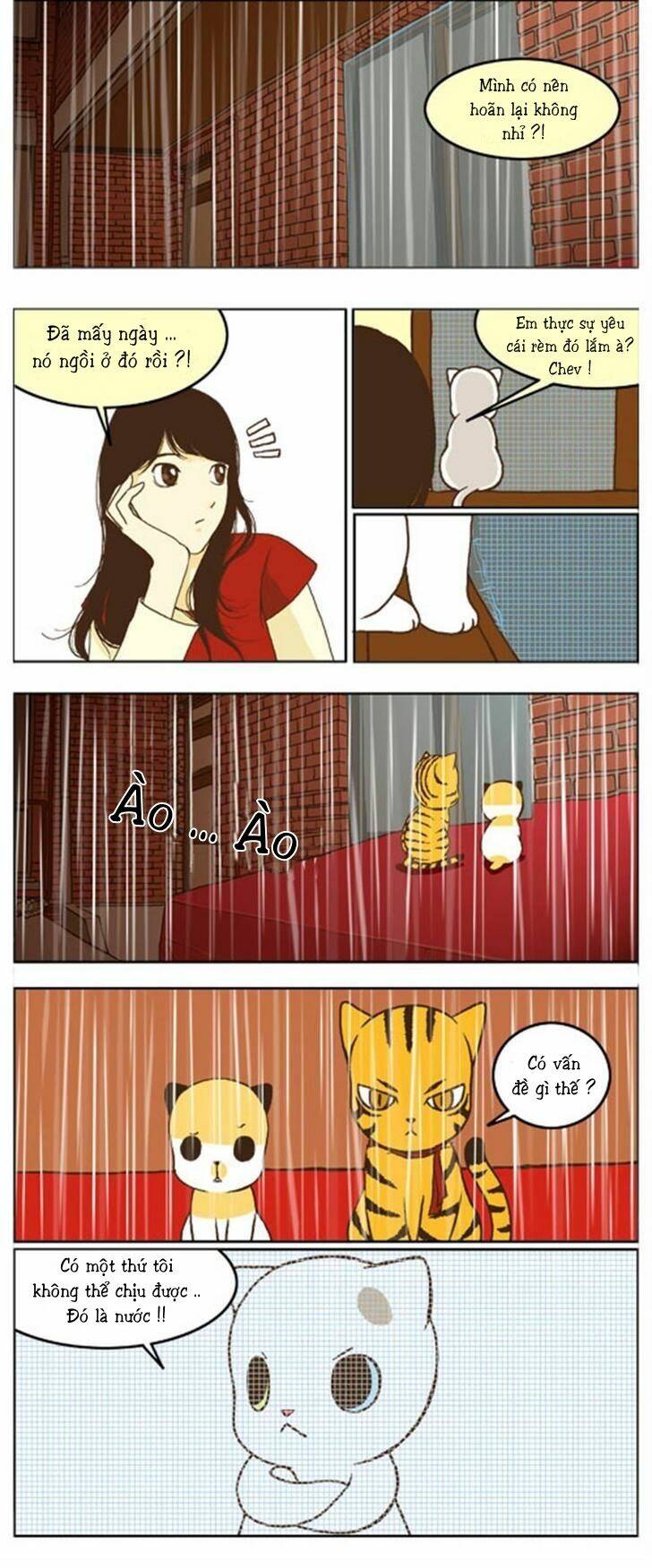 papi nyang chapter 16 1