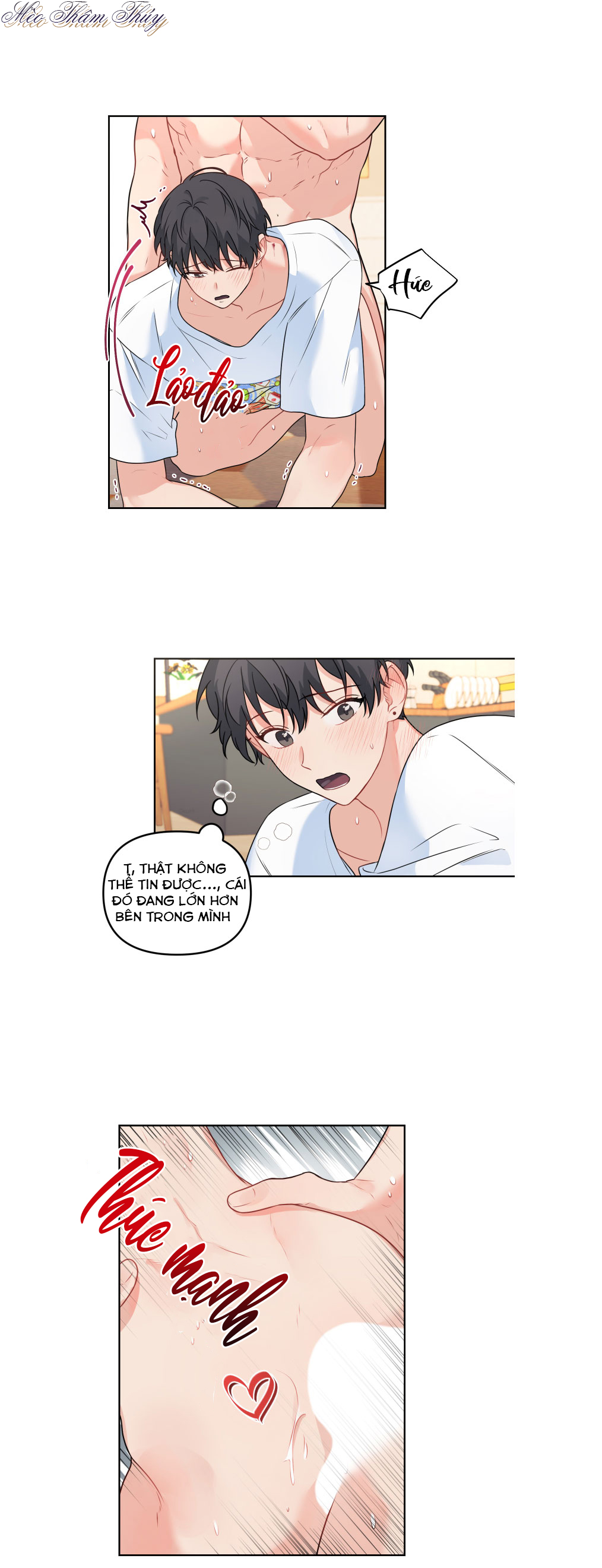 máu và tình yêu chapter 50 14