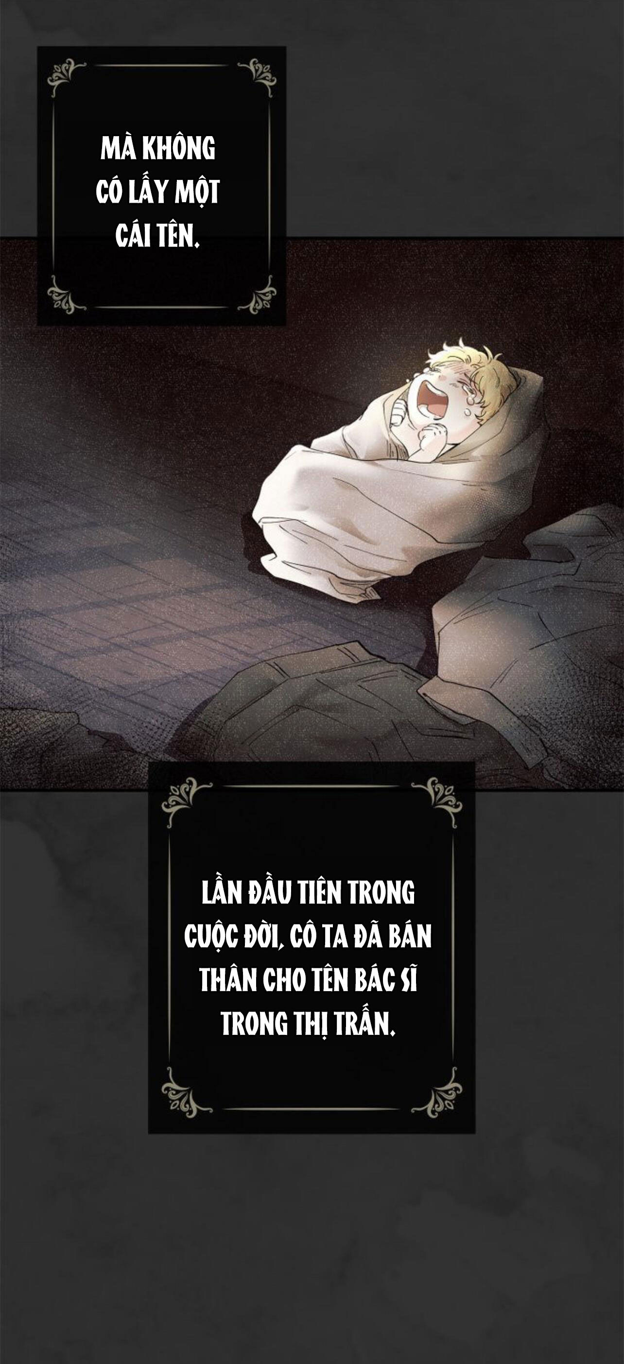 tìm lại nàng camellia chapter 1 31