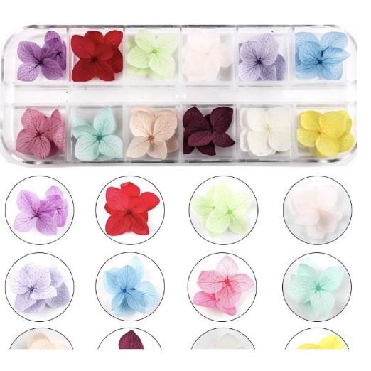 Hộp 12 Màu Hoa Cẩm Tú Cầu Khô Màu Sắc Rực Rỡ - Trường Thịnh Sài Gòn