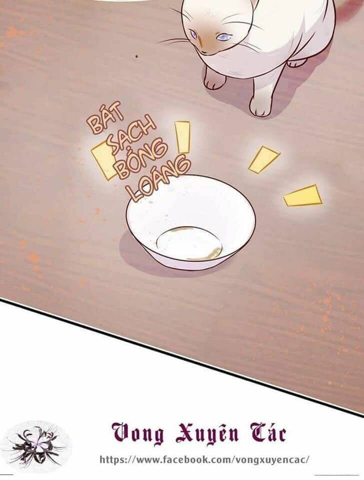 lãnh tình boss xin buông tay em chapter 7 20