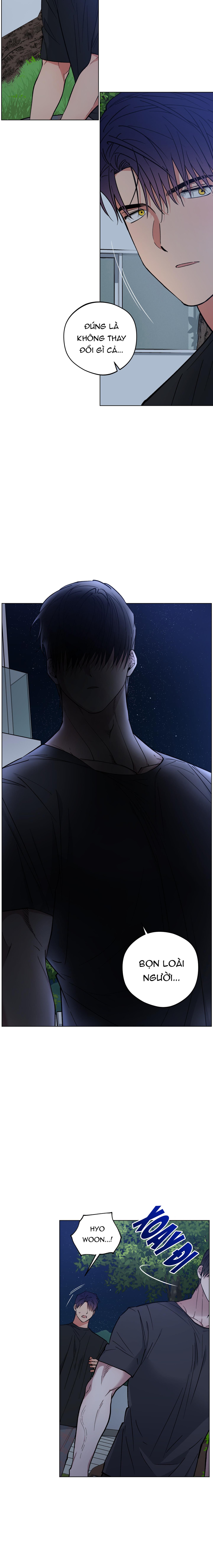 bình minh trên sông mây chapter 21 7