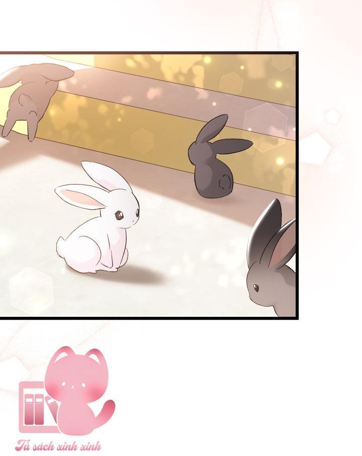 quan hệ cộng sinh giữa báo đen và thỏ trắng chapter 75 28