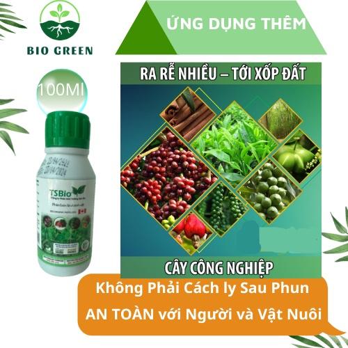 Phân bón cho mai vàng, phân bón sinh học TSBIO 100ml, làm khỏe bộ rễ, lá- bông to dày, nhiều chất dinh dưỡng