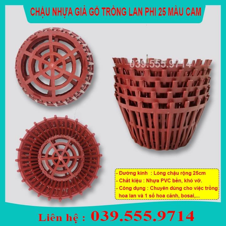 Combo 10 Chậu Nhựa Màu Cam Trồng Lan Phi 25 - Chậu Trồng Cây Có Lan Phụ