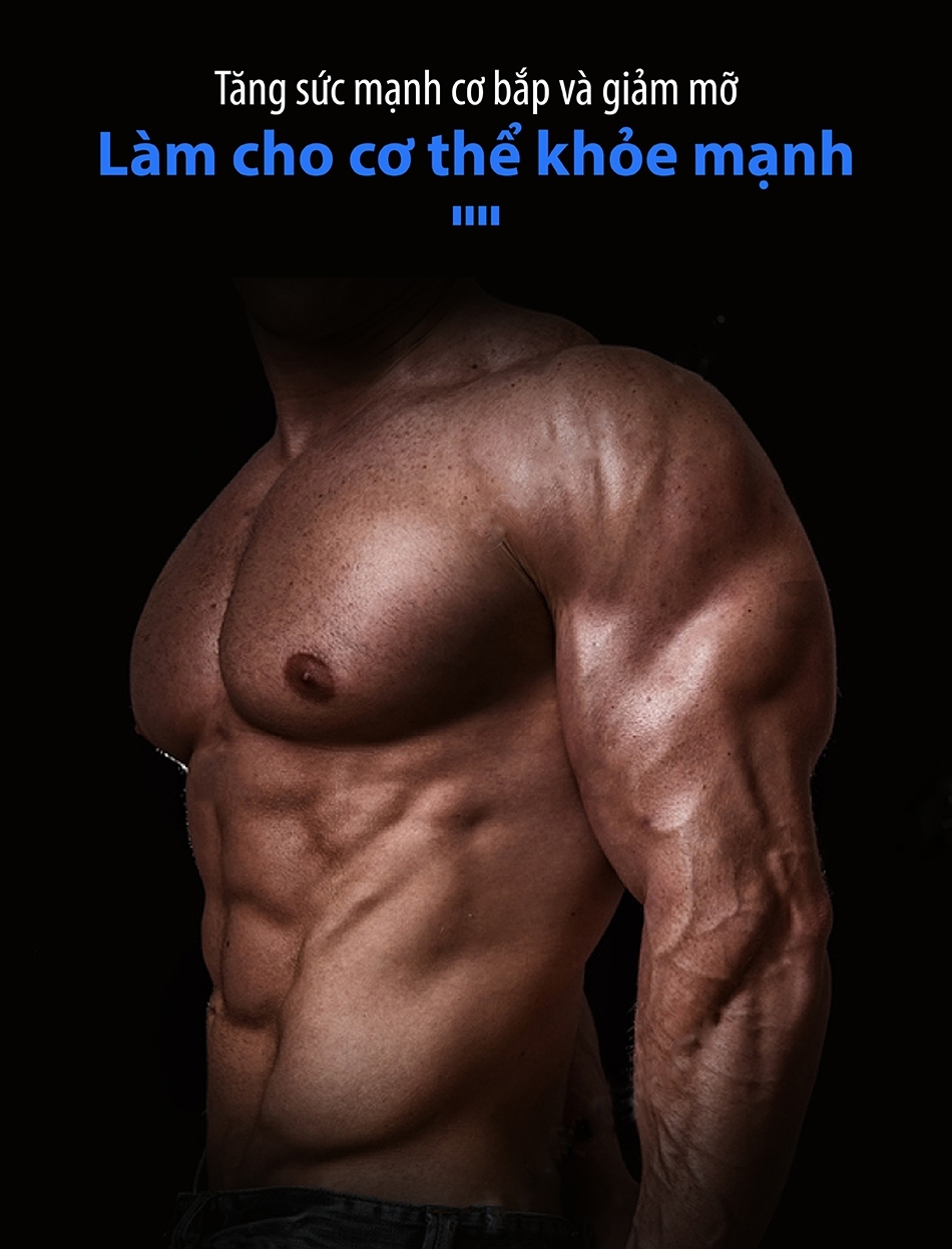 Ghế Tập Cơ Bụng Đa Năng - Kết Hợp Tập Bụng, Tập Eo, Tập Gym, Tập Thể Hình Tại Nhà SIT UP-160B ( hàng nhập khẩu)