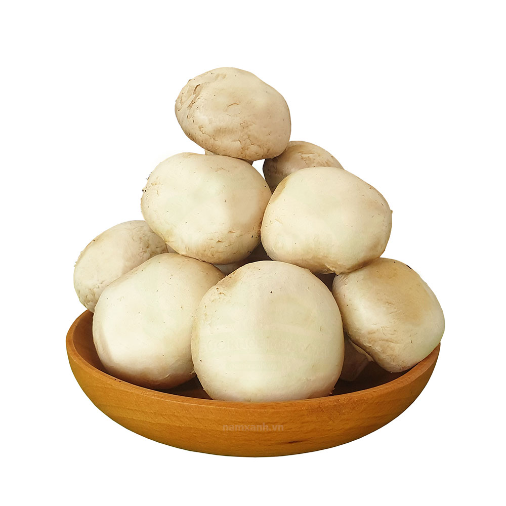 Nấm Mỡ Trắng Tươi 200gr 600gr 1kg - Nông Trại Nấm Xanh