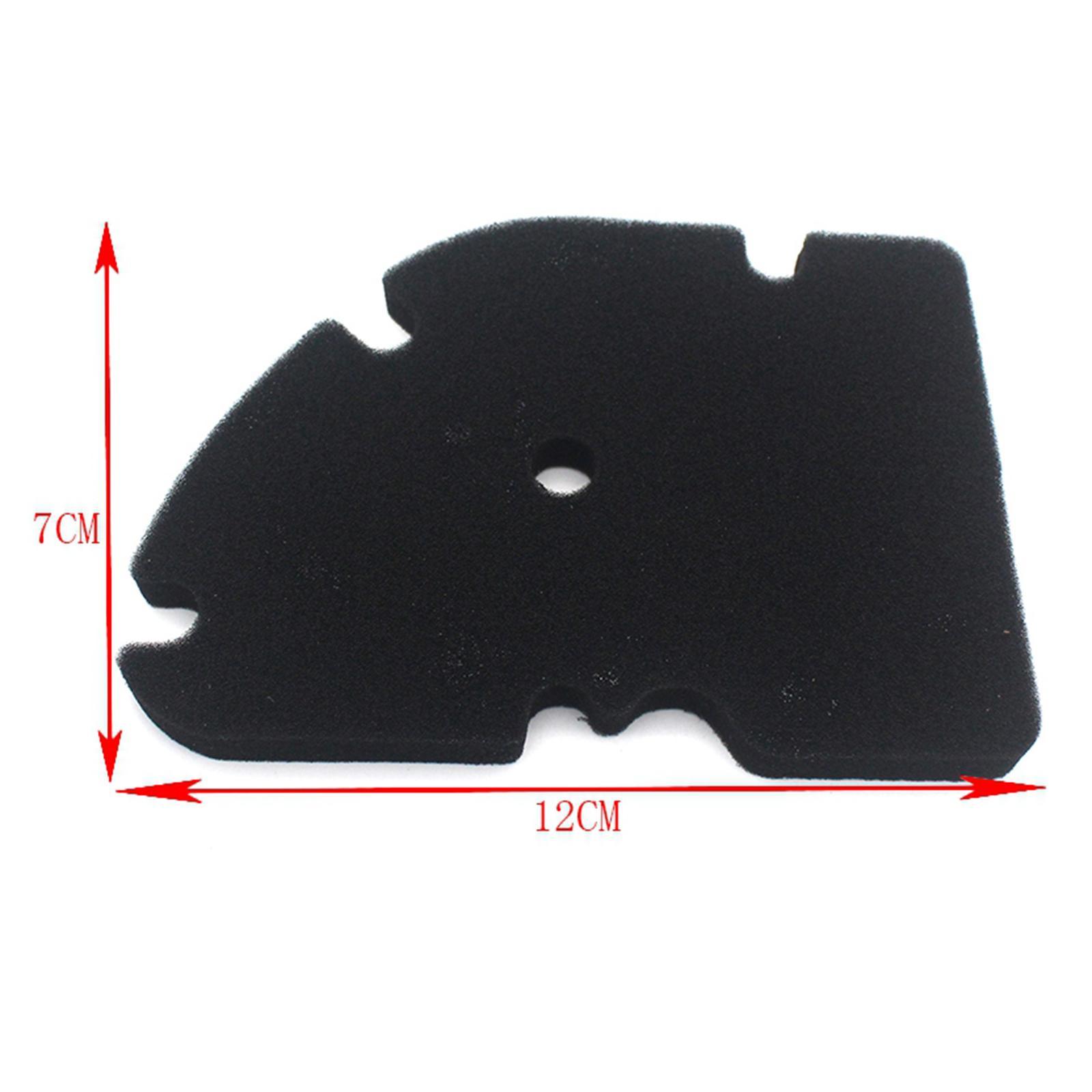 Premium Sponge   Air Filter for  GTV 250 300  250