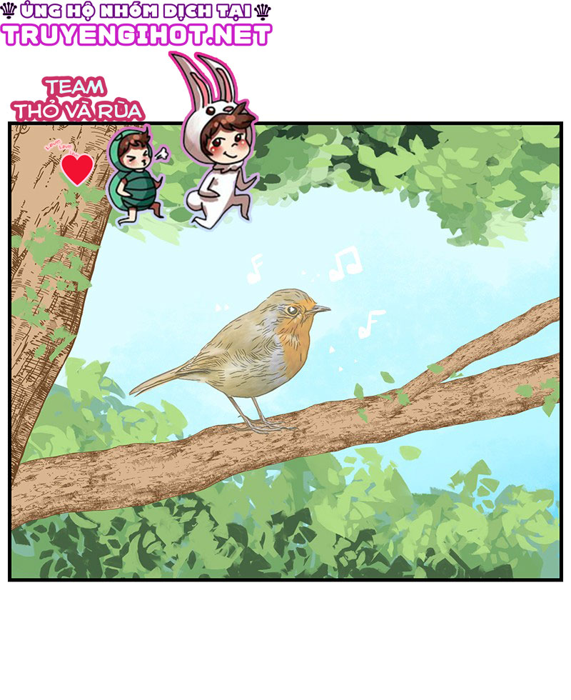 người cầu hôn chapter 13 2