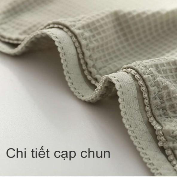 Quần lót nữ su viền ren cạp chun chống tụt Havana - Quần chip nữ viền ren