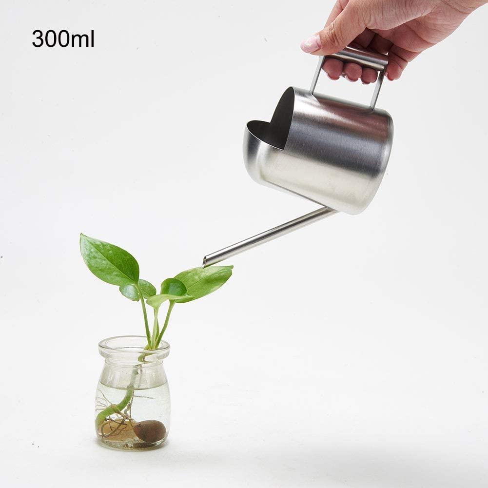 Độ dày tưới nước trong thép không gỉ chải 11oz/300ml lọ tưới mini cho hoa bonsai cây trong vườn sân nhà hiên