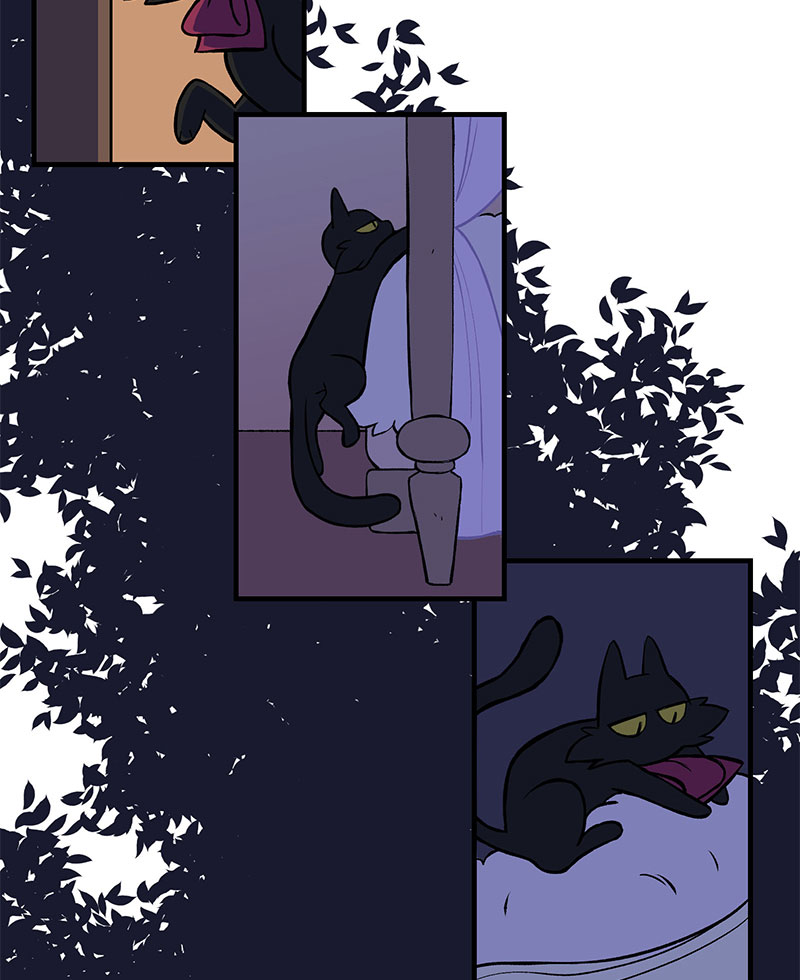 người cầu hôn chapter 1 79