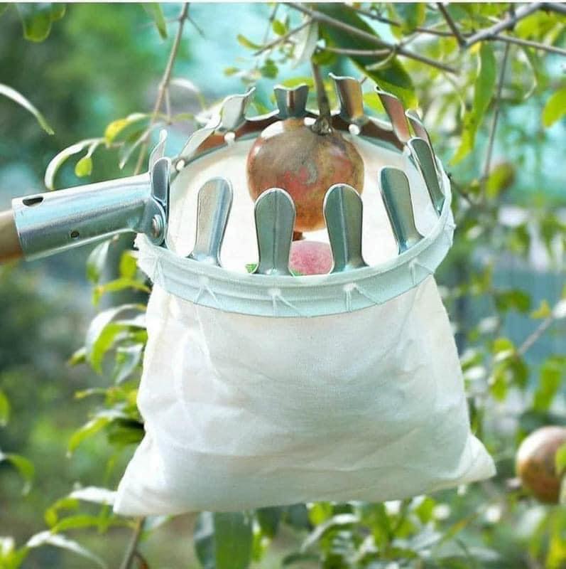 VỢT HÁI HOA QUẢ TRÊN CAO KÈM TÚI VẢI CHUẨN SIZE 16 CM, CHẮC CHẮN - HÀNG CHÍNH HÃNG