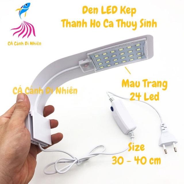 Đèn Led Đổi Màu Kẹp Thành Hồ Cá Thủy Sinh Size 30-40Cm M-280