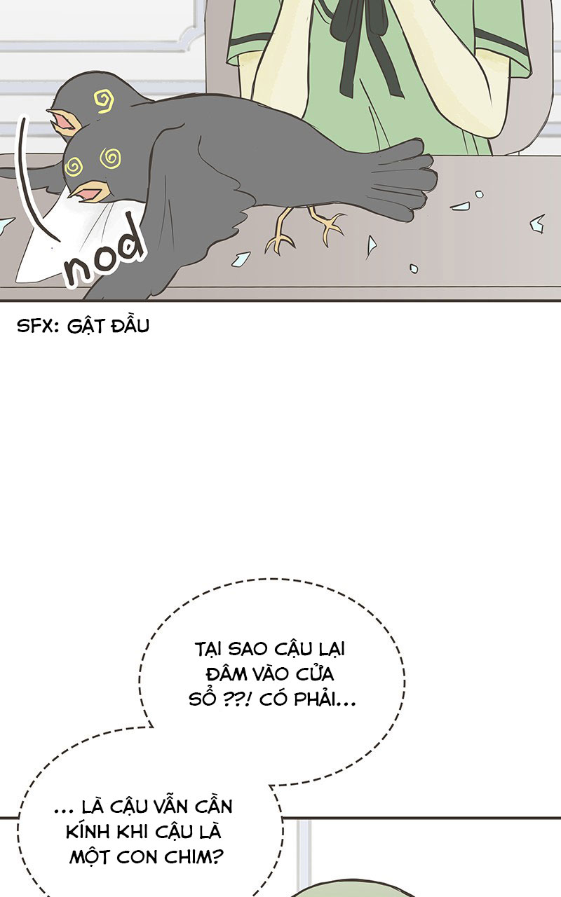 những nàng công chúa bị nguyền rủa chapter 17 31