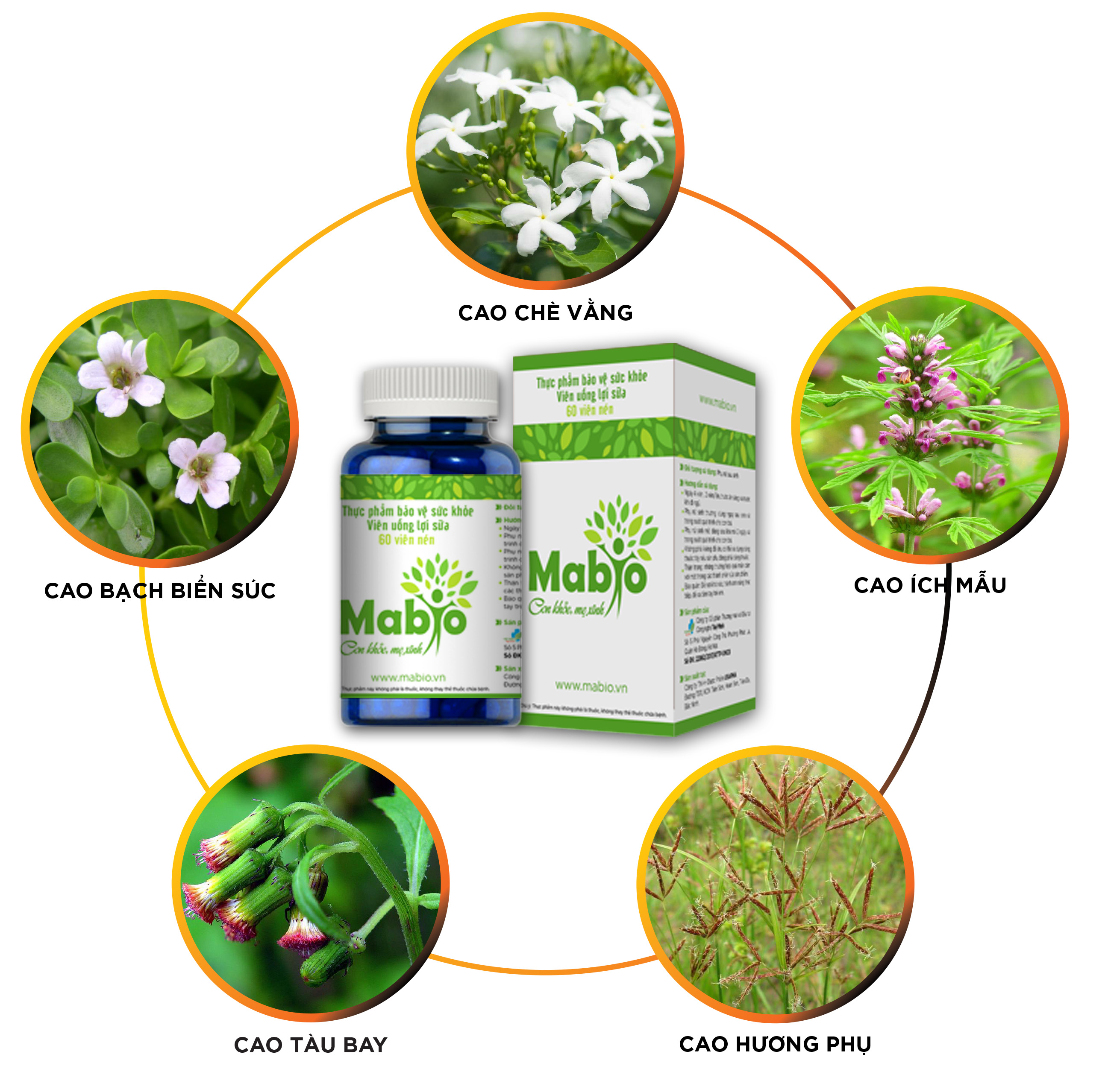 Combo 4 Hộp Viên uống lợi sữa Mabio, Tăng số lượng, chất lượng sữa mẹ, phục hồi sức khỏe sau sinh