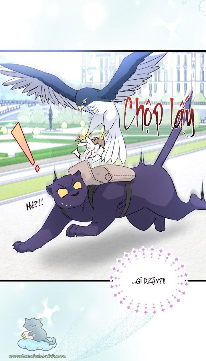 quan hệ cộng sinh giữa báo đen và thỏ trắng chapter 60 34