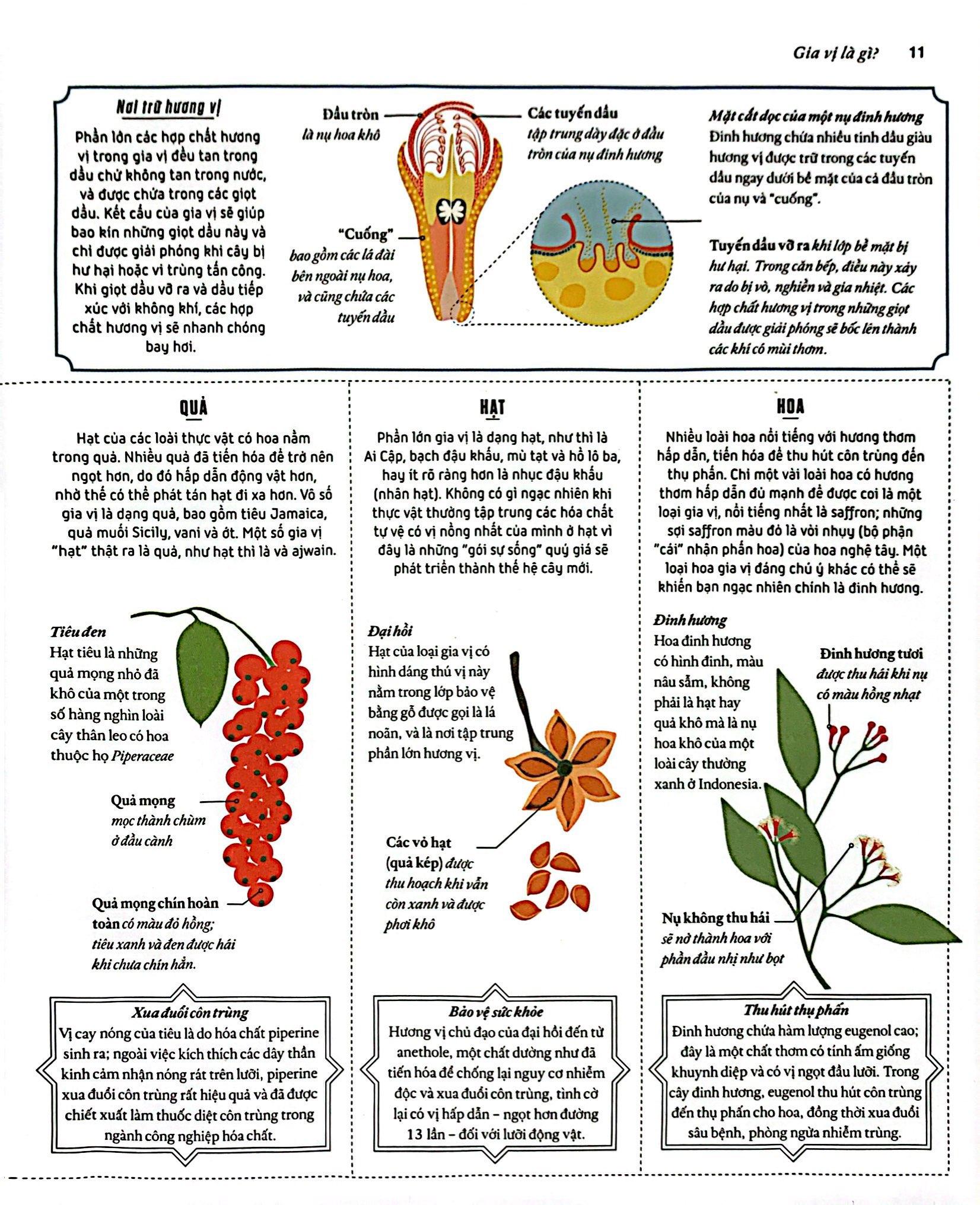 Khoa Học Về Gia Vị - Hiểu Các Kết Nối Hương Vị Và Cách Mạng Hóa Việc Nấu Ăn - Bìa Cứng