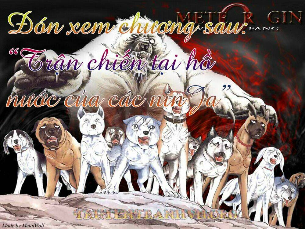 chú chó có nghĩa - ginga nagareboshi gin chapter 18 22