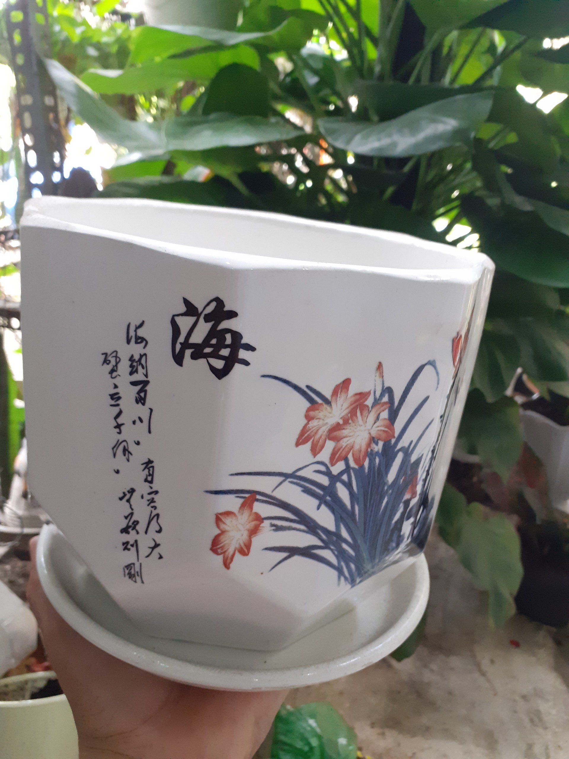 Chậu kèm dĩa BÁT GIÁC hoa