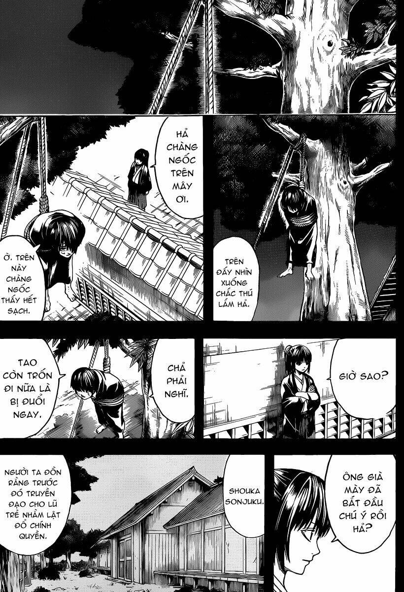 gintama - linh hồn bạc chapter 518 5