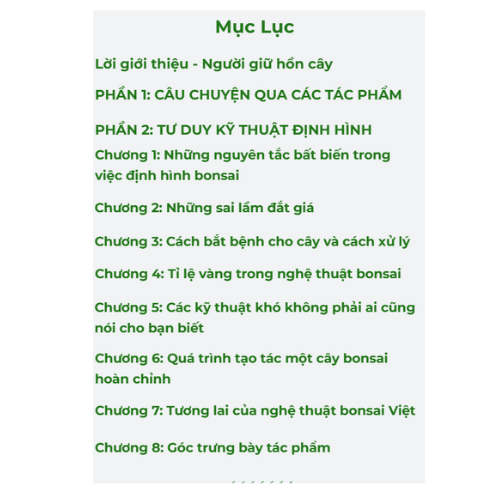 Sách Bonsai Làm chủ tư duy Định hình tác phẩm