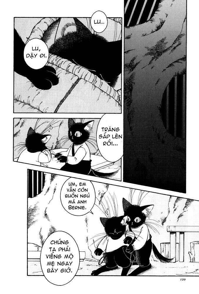 bernie's drawing diary chapter 5 16