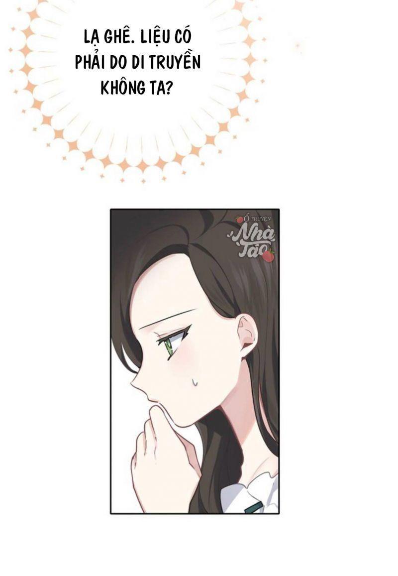 đi theo dấu vụn bánh chapter 27 40