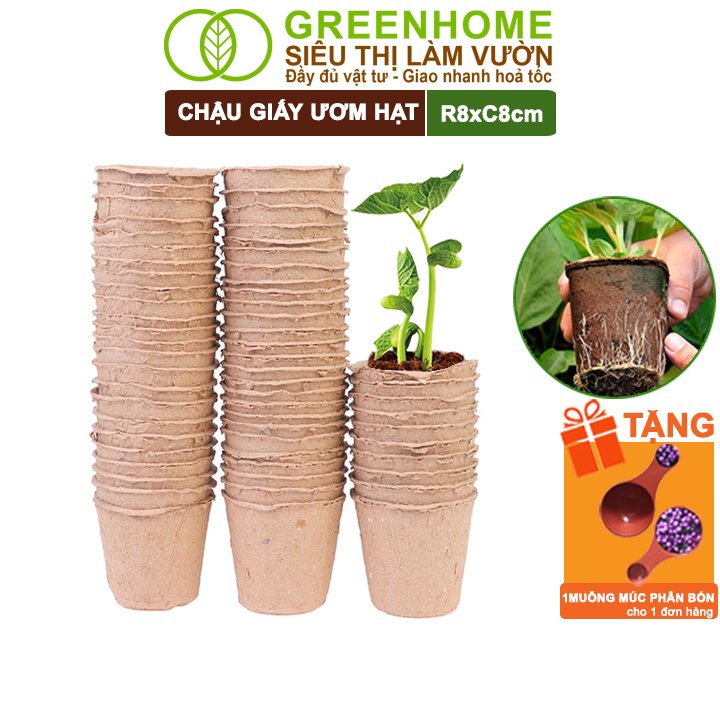 10 Chậu Trồng Cây Greenhome, D8Xr8Cm, Bằng Giấy Tự Phân Huỷ, Ươm Hạt Giống, Cây Con, Tiện Lợi, Thân Thiện Môi Trường - 10 Chậu Giấy