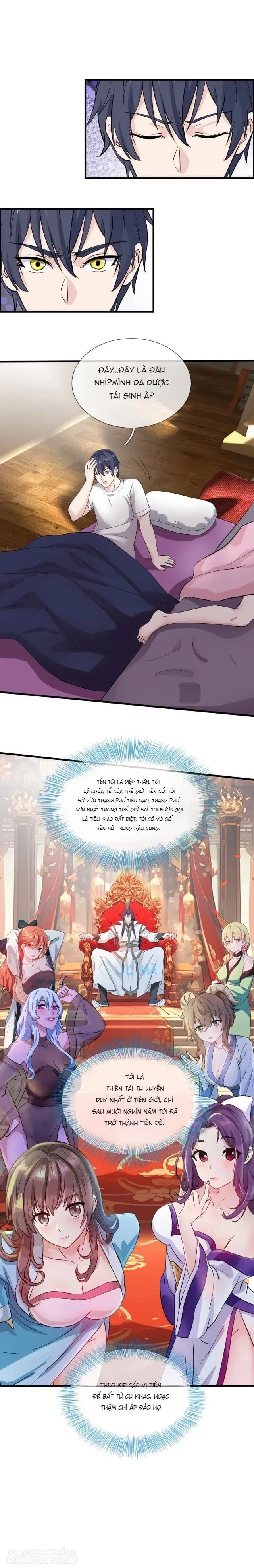 con rể là tiên vương tái sinh có chút kiêu ngạo chapter 1 2