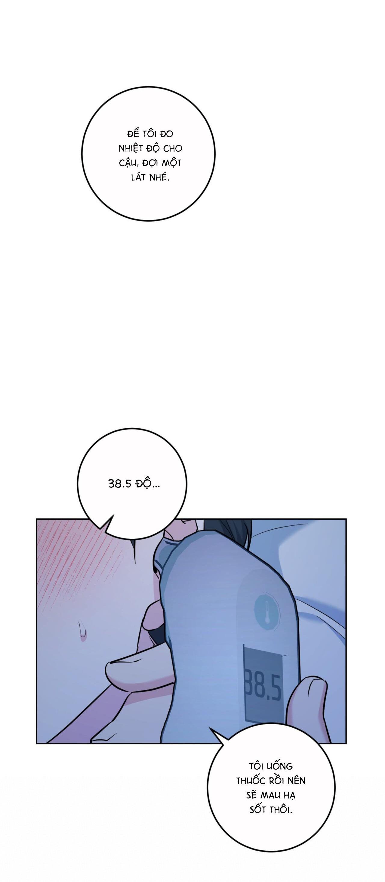 khu rừng tĩnh lặng chapter 21 26