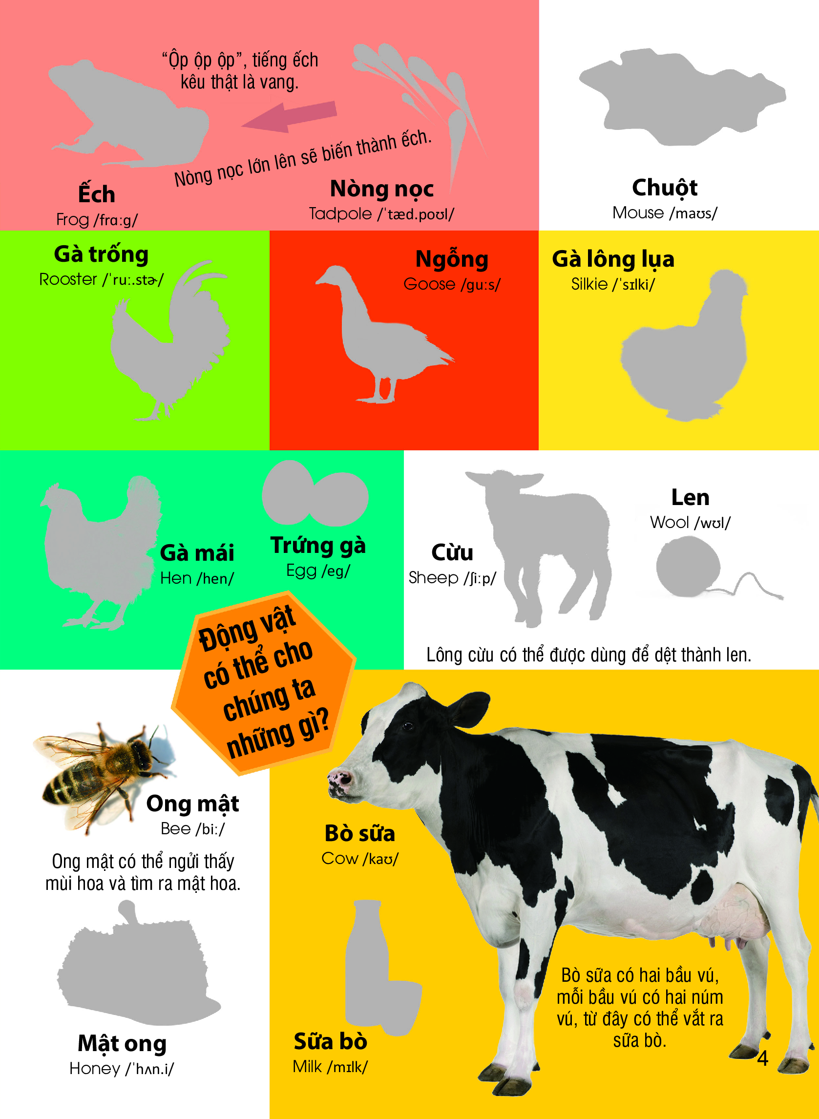 Dán Hình Nhận Biết Động Vật - Những Loài Vật Dễ Thương