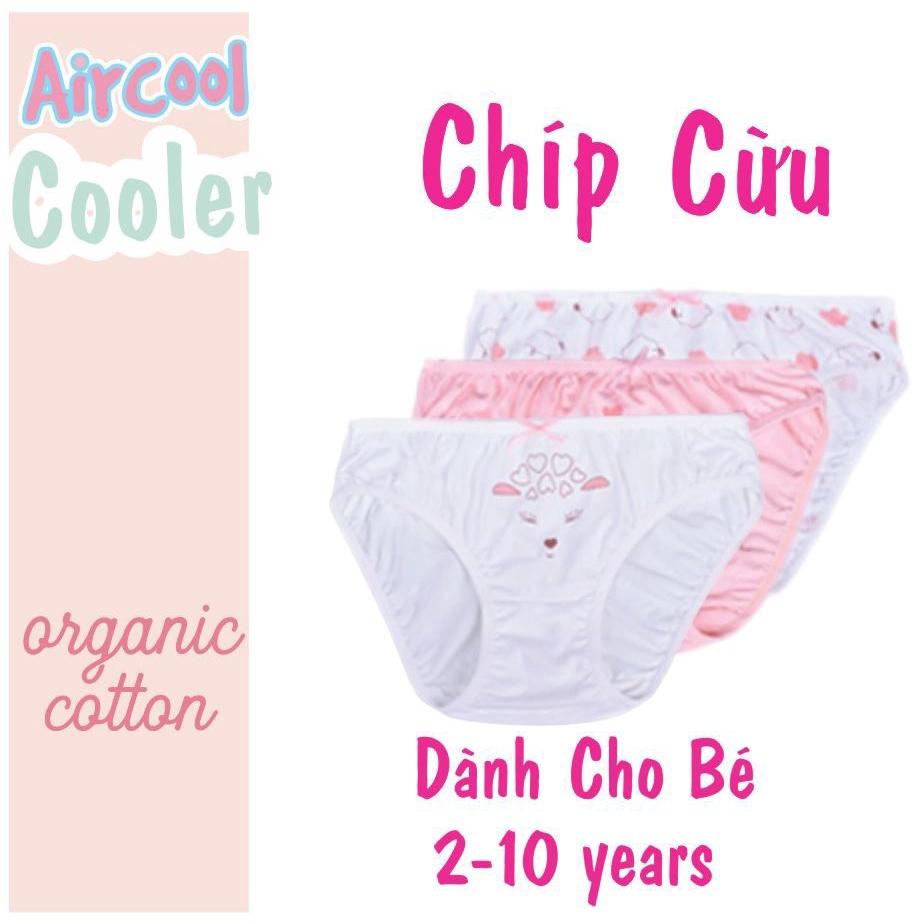 Set 3 quần chip đùi Aircool cho bé gái 2-9 Tuổi