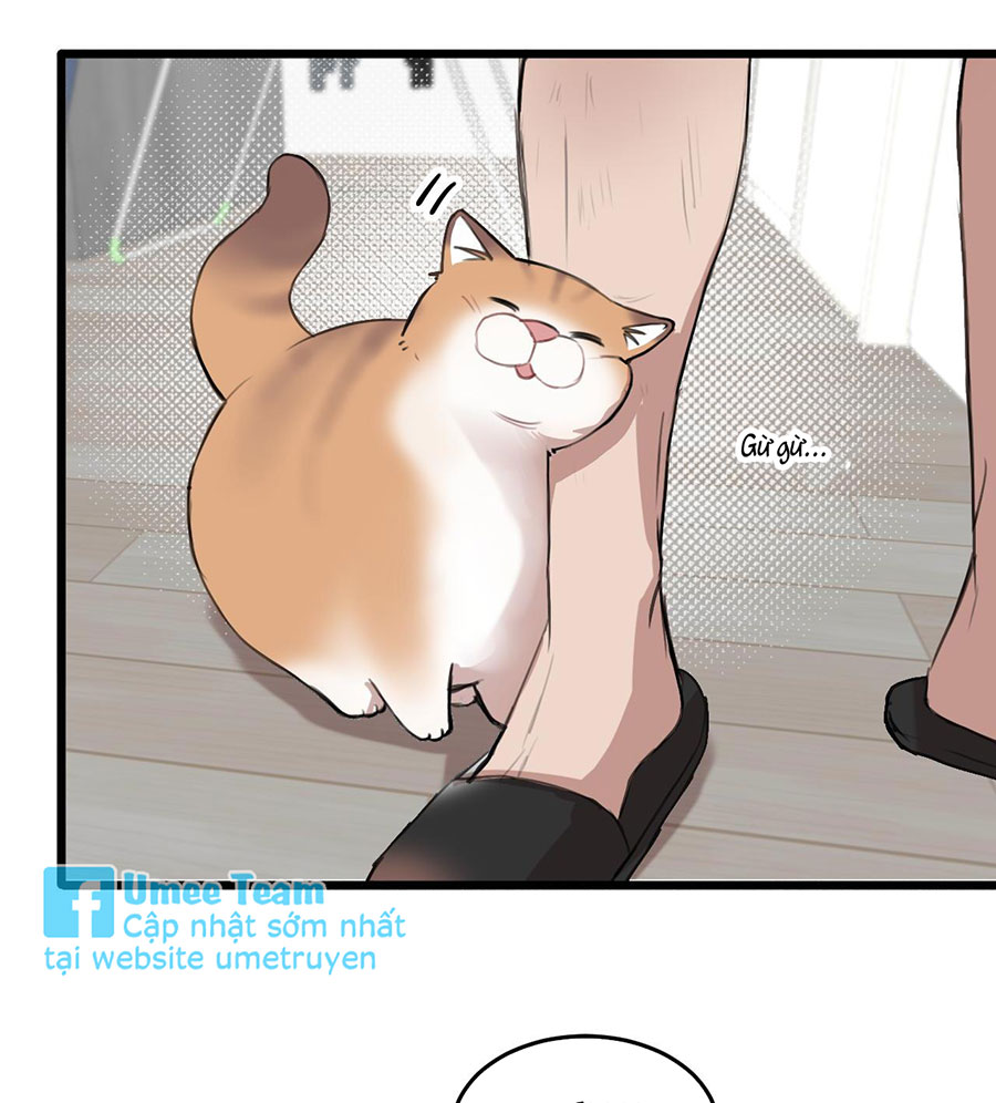 rốt cuộc bé mèo đang nghĩ gì ? chapter 18 16