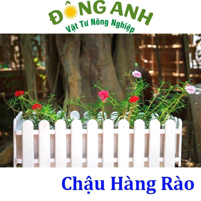 Chậu Nhựa Hàng Rào Size To - 45x20x15cm - Hàng Loại 1 Dày, Bóng Đẹp - Chậu Nhựa Composite Trồng Hoa