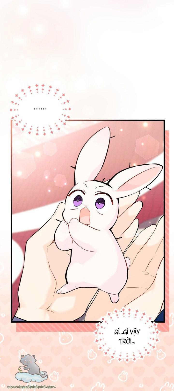 quan hệ cộng sinh giữa báo đen và thỏ trắng chapter 55 26