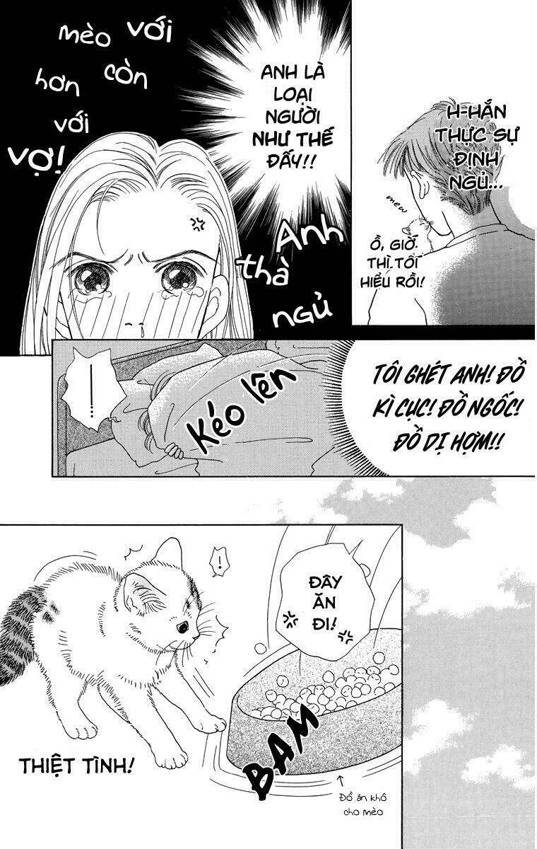 cuộc sống thường nhật của mèo zaccho chapter 1.5 11