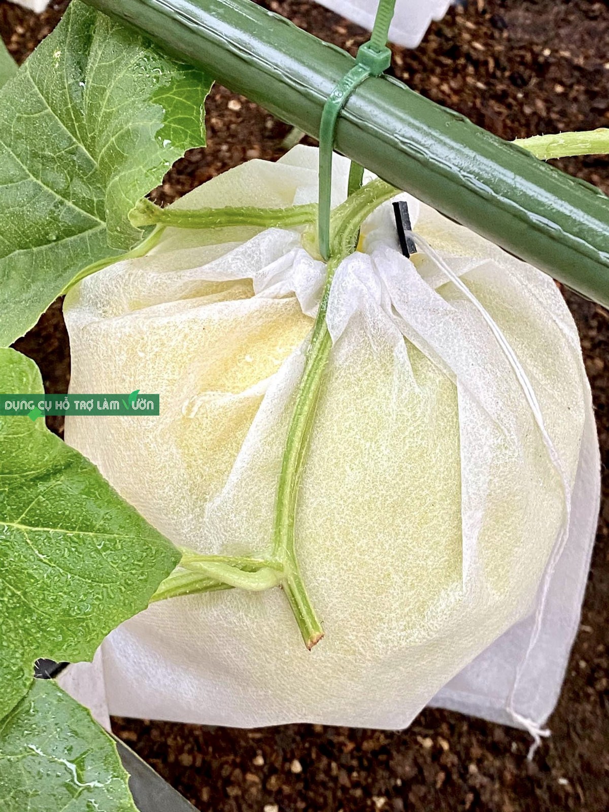 Dây rút nhựa ABS màu xanh lá gói 50 pcs