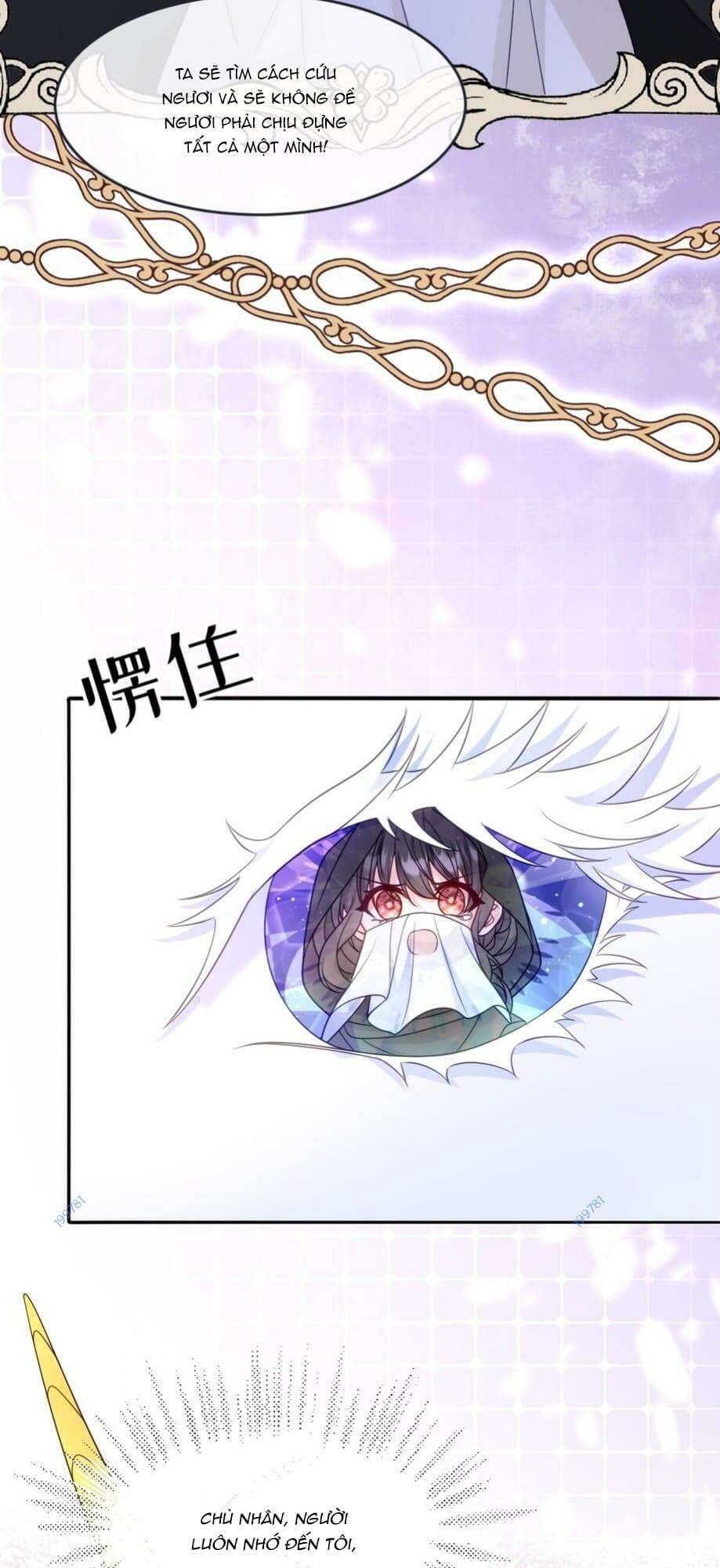 trở thành đoàn sủng về sau, ta đại sát tứ phương chapter 17 36