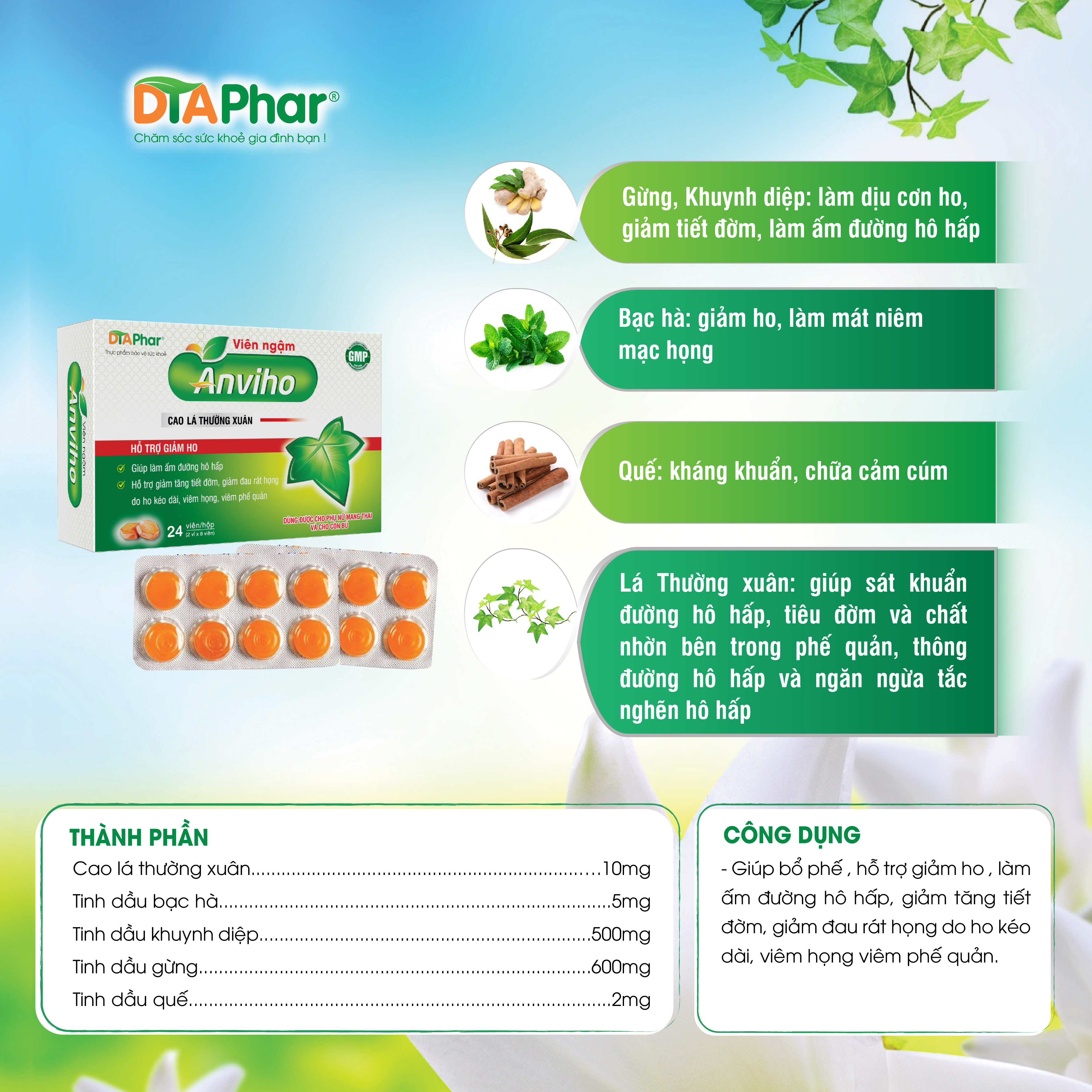Viên Ngậm ANVIHO Cao Lá Thường Xuân - Hỗ trợ ho - Giúp làm ấm đường hô hấp giảm tăng tiết đờm, đau rát họng do ho kéo dài, viêm họng, viêm phế quản.