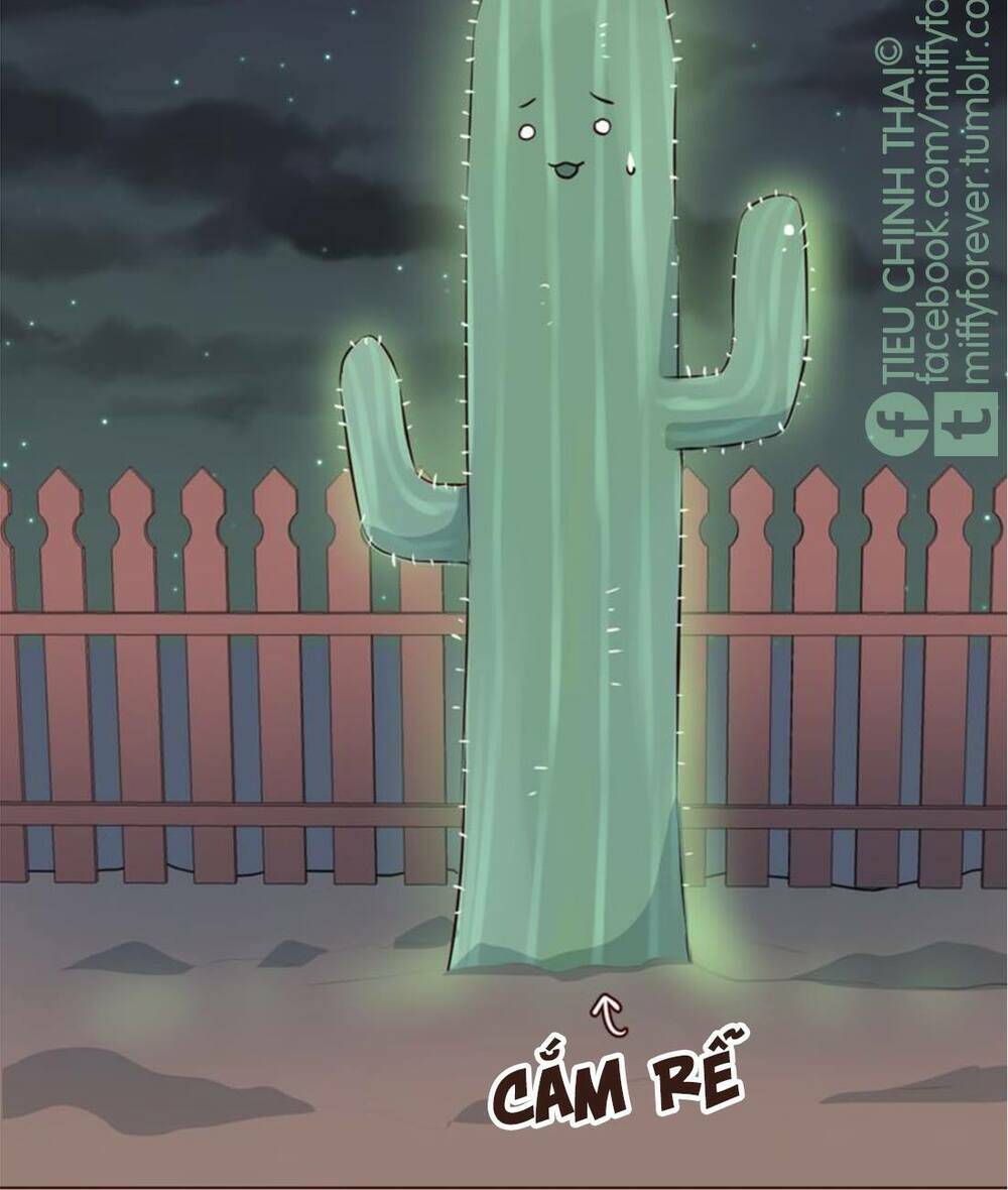 bạn trai xương rồng chapter 5 14