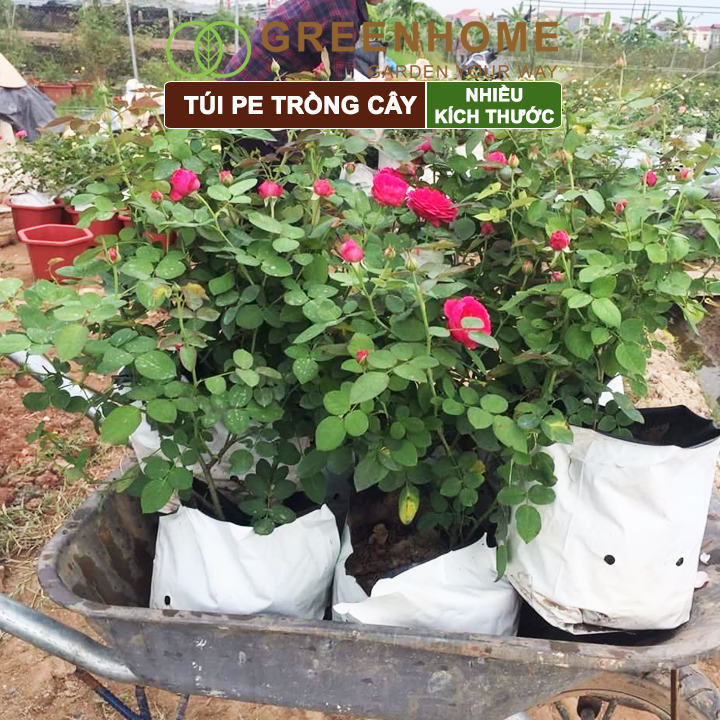 Túi PE trồng cây, nhiều kích thước, 2 lớp, chống UV tiện lợi, độ bền 1,5 năm, trồng rau, hoa, dâu tây |Greenhome