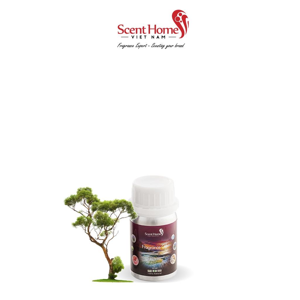 Tinh dầu Dream Tree- ScentHomes