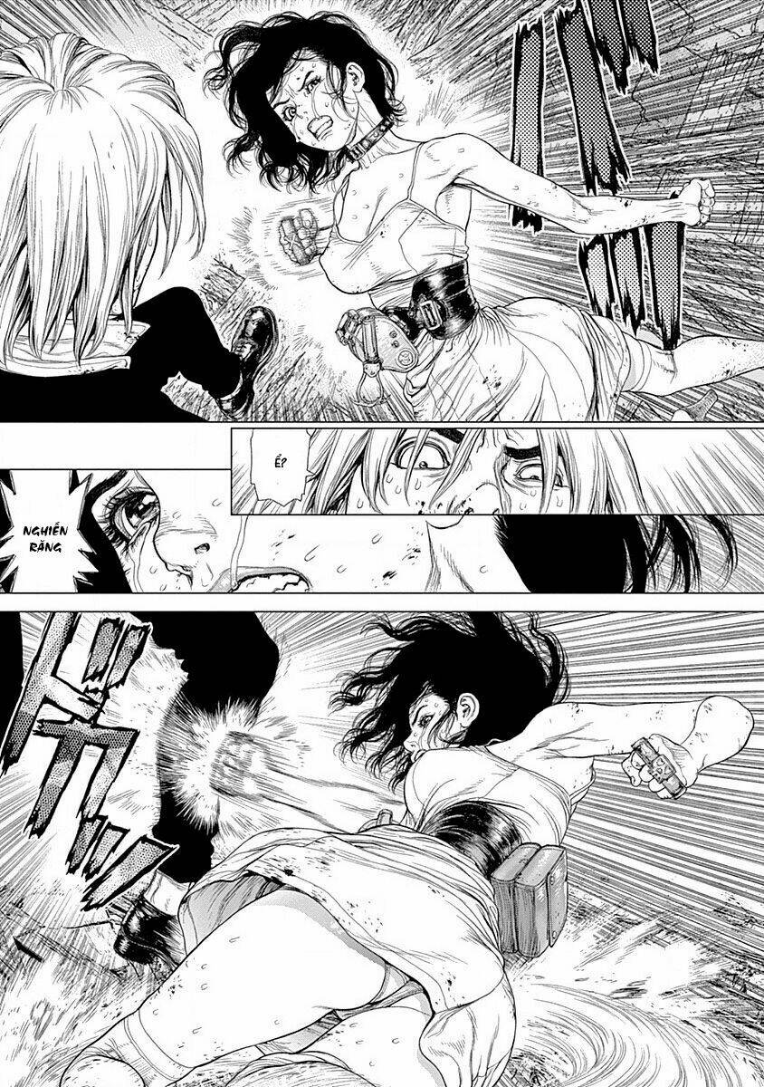 wallman chapter 22 10