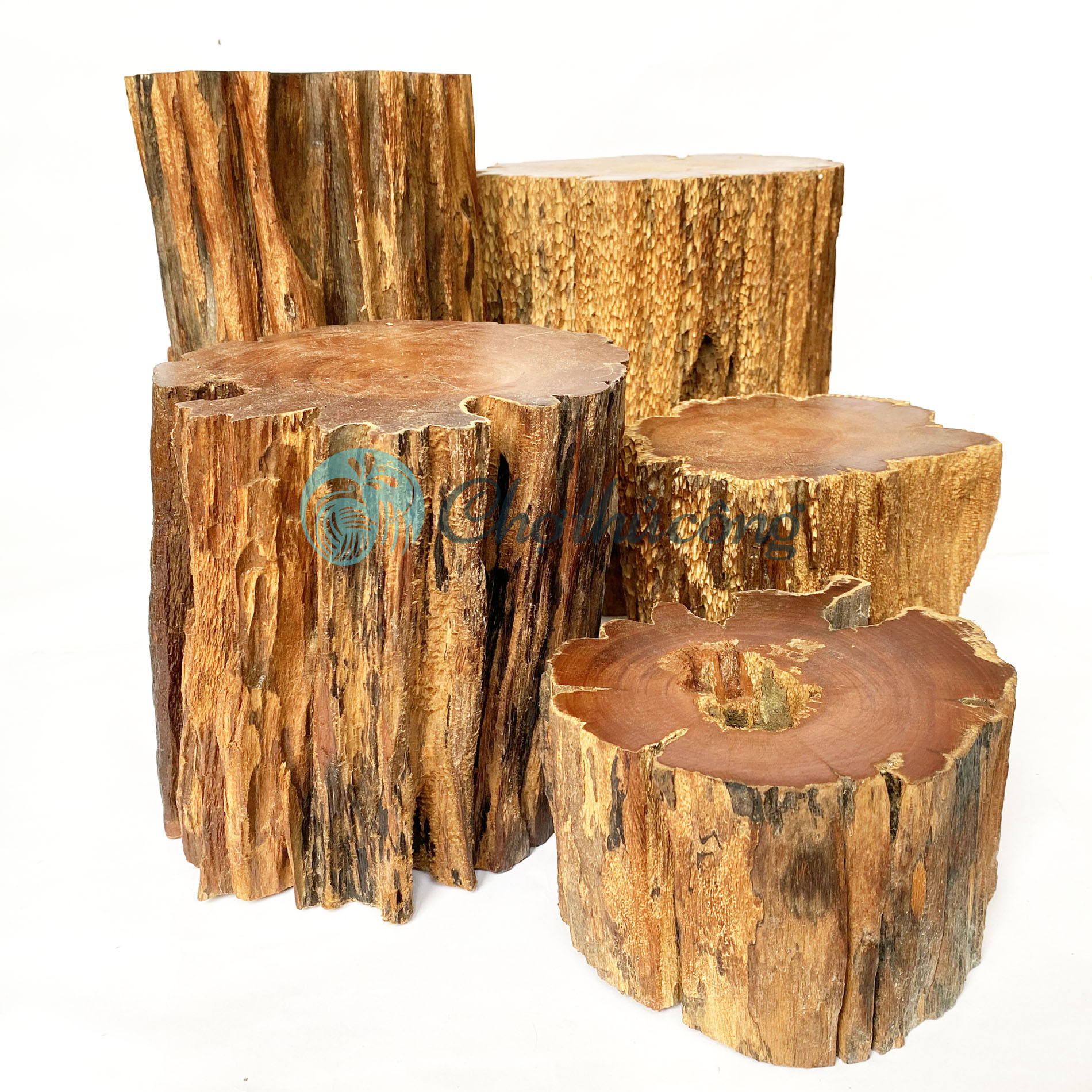 Đôn gỗ kê tượng phật, đôn để chậu cây - Ghế đôn gỗ lũa, kệ gỗ để tượng decor, khoanh gỗ tự nhiên (phát mẫu ngẫu nhiên)